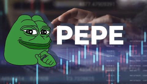 افزایش فعالیت سرمایه‌گذاران پپه کوین