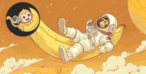 MoonBag سرمایه گذاران را به خود جذب میکند