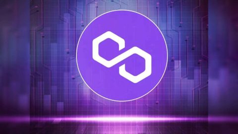 خزانه پالیگان 35 میلیون MATIC توزیع میکند