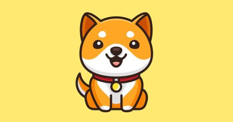معرفی و آموزش بازی تلگرامی بیبی دوج BabyDoge