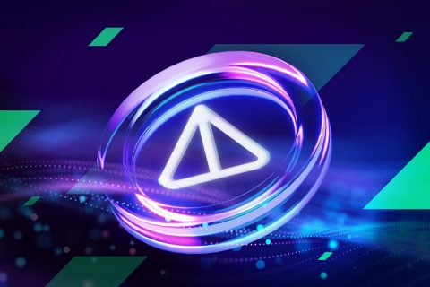 نات کوین اکسپلور راه اندازی شد