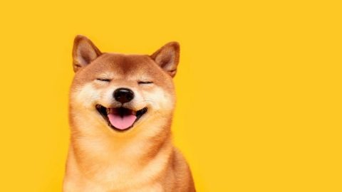معرفی ارز دیجیتال شیبا اینو Shiba inu