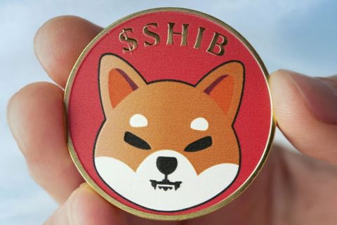 اولین مصاحبه رهبران شیبا اینو