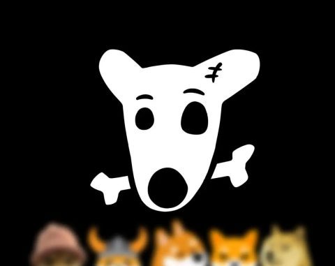 صعود 34 درصدی داگز در 24 ساعت گذشته