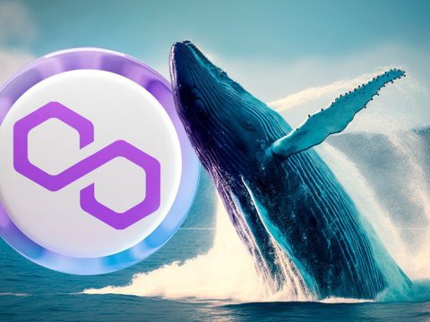 افزایش چشمگیر فعالیت نهنگ‌های پالیگان پیش از تغییر متیک به POL