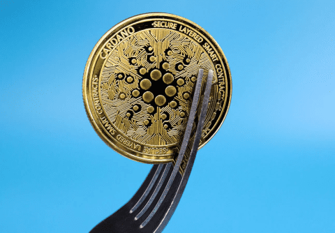 تغییر وضعیت کاردانو به حاکمیت غیرمتمرکز با چنگ