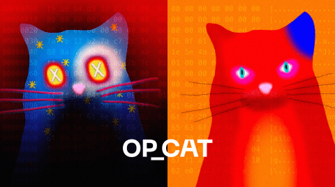 OP_CAT چیست؟