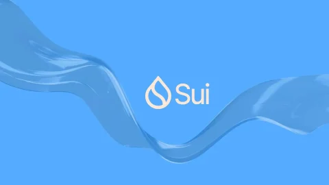 تحلیل و پیش بینی قیمت سویی 29 آبان 1403