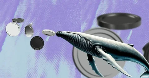 افزایش فعالیت نهنگ‌ها در خرید توکن VIRTUAL