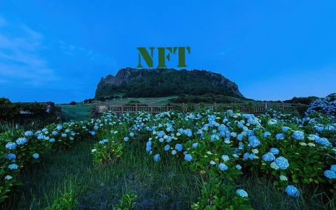 جذب نسل Z با کارت های گردشگری NFT در کره جنوبی