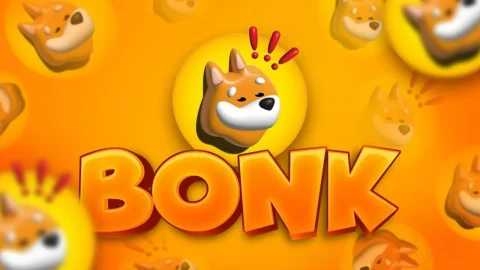 بونک (BONK) چیست؟