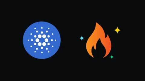 درخواست راه اندازی قراردادهای آتی کاردانو و گاز طبیعی توسط کوین بیس