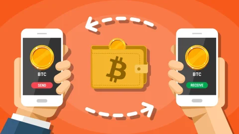 چگونه میتوانیم بیت کوین هایمان را به کیف پول دیگری انتقال دهیم؟