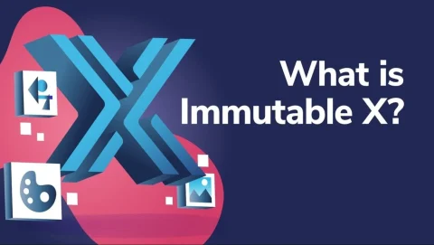 Immutable چیست؟