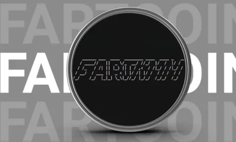 فارت کوین، دومین میم کوین بزرگ سولانا