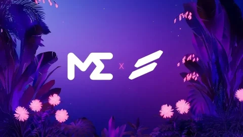 گسترش مجیک ادن به پلتفرم چند زنجیره ای