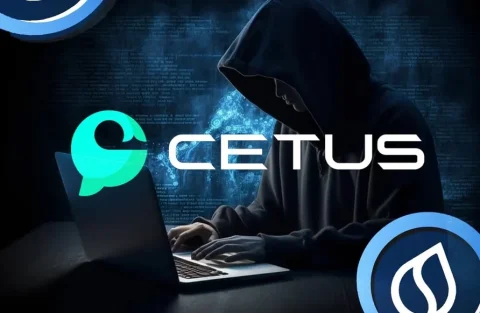 باگ 223 میلیون دلاری در Cetus