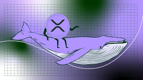 نهنگ‌ها و نقش آنها در آینده XRP