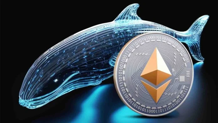 نهنگ ها دوباره فعال شدند؛ خرید ۹.۸ میلیون دلاری اتریوم