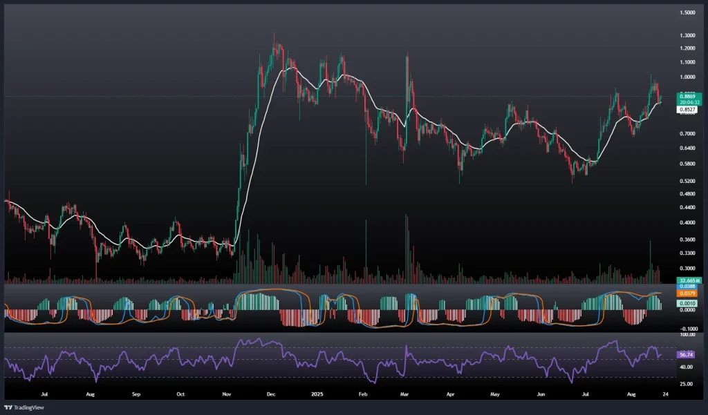 تحلیل و پیش بینی قیمت کاردانو 30 مرداد 1404