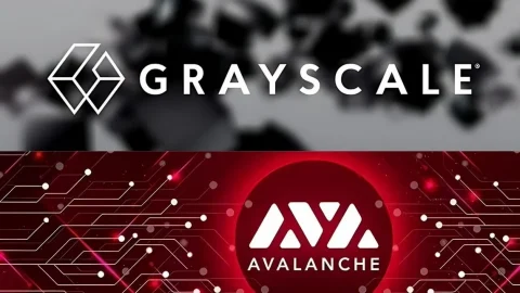 گری اسکیل به دنبال ETF اسپات آوالانچ در نزدک