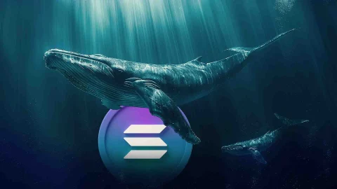 افزایش ذخایر سولانا توسط نهنگ های نهادی