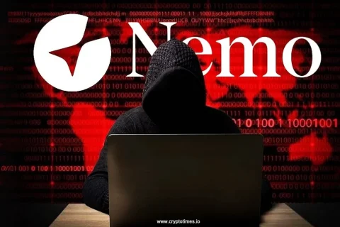 هک 2.6 میلیون دلاری Nemo، نقش کدهای بدون ممیزی