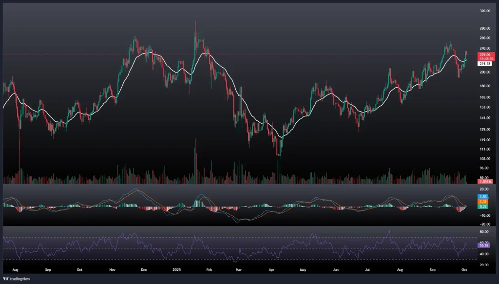 تحلیل و پیش بینی قیمت سولانا 11 مهر 1404