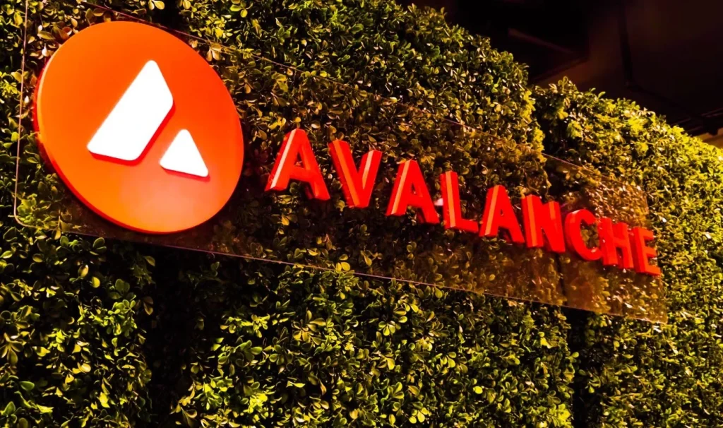 بیت وایز به دنبال عرضه ETF آوالانچ