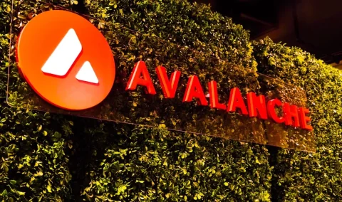 بیت وایز به دنبال عرضه ETF آوالانچ