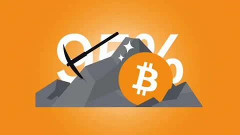 تنها 5٪ از بیت کوین ها باقی مانده!