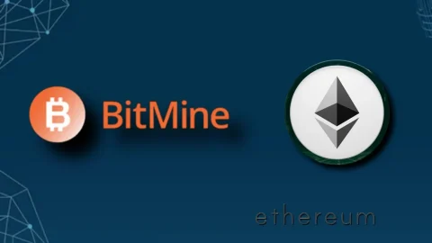 خرید 24 هزار اتریوم توسط BitMine در ریزش بازار