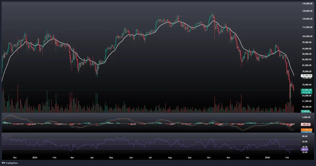 تحلیل و پیش بینی قیمت بیت کوین 23 بهمن 1404